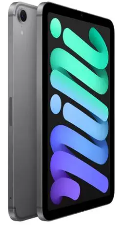 IPAD MINI WI-FI_CELLULAR 128GB - SPACE GREY_1.webp