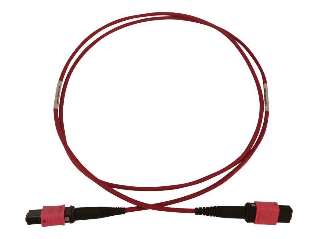 [N845B-01M-12-MG] 100G Multimode 50/125 OM4 Fiber Optic Cable (12F MTP/MPO-PC F/F), LSZH, Magenta, 1 m (3.3 ft.)