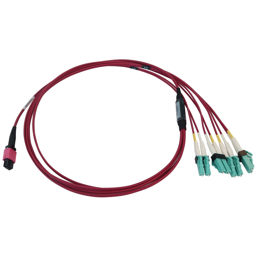 [N845X-01M-8L-MG] 40/100G Multimode 50/125 OM4 Fiber Optic Cable (12F MTP/MPO-PC to 4x Duplex LC/PC F/M), LSZH, Magenta, 1 m (3.3 ft.)