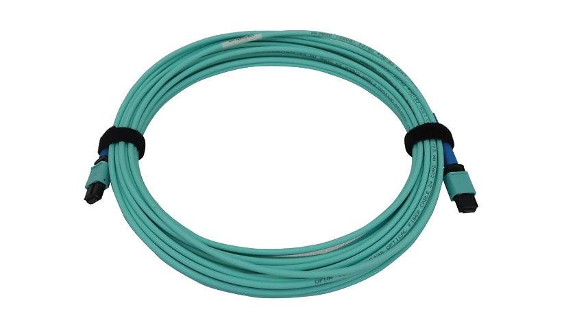 [N846B-01M-24-P] 40/100/400G Multimode 50/125 OM3 Fiber Optic Cable (24F MTP/MPO-PC F/F), LSZH, Aqua, 1 m (3.3 ft.)