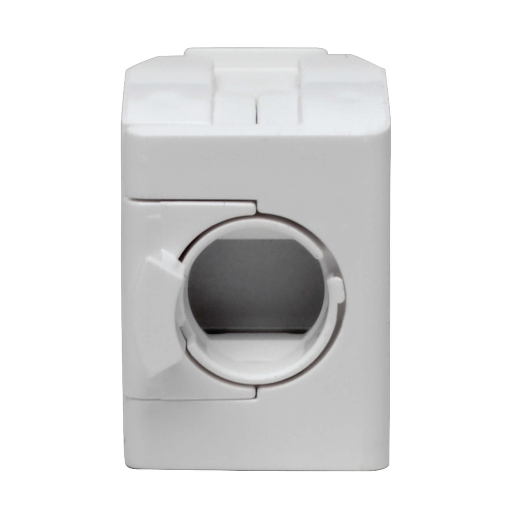 Keystone Jack Cat6/Cat5e, RJ45, Shuttered, Dust Cap - Toolless, PoE/PoE+ Compliant, White, TAA