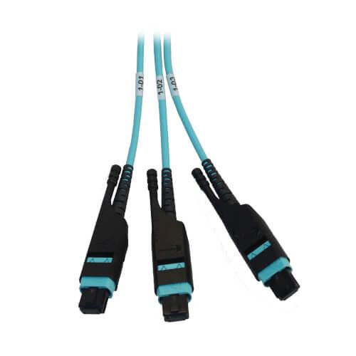 [N48M-2M3X8M-20] Preloaded Fiber Panel, 1U - 2x (3x8F MTP/MPO-PC F/F) 24F Trunk Cables, OM4 Multimode, 20 m (65.6 ft.)