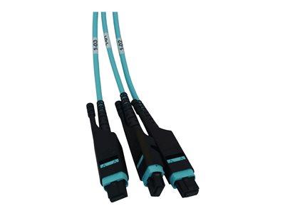 [N48M-4M3X8M-10] Preloaded Fiber Panel, 1U - 4x (3x8F MTP/MPO-PC F/F) 24F Trunk Cables, OM4 Multimode, 10 m (32.8 ft.)
