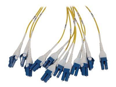 [N48S-2L24L-10] Preloaded Fiber Panel, 1U - 2x (12x LC/LC Duplex M/M) 24F Trunk Cables, OS2 Singlemode, 10 m (32.8 ft.)