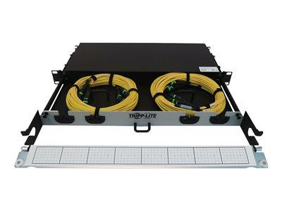 [N48S-2M3X8M-20] Preloaded Fiber Panel, 1U - 2x (3x8F MTP/MPO-APC F/F) 24F Trunk Cables, OS2 Singlemode, 20 m (65.6 ft.)