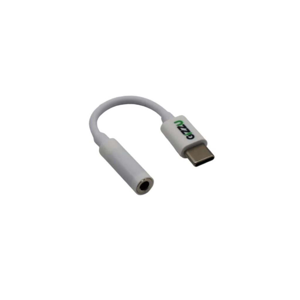 [GAPC35] Gizzu Type-C to Audio Adapter Poly